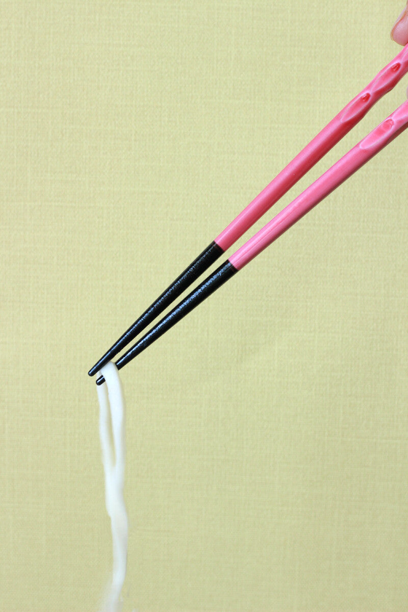 Wakasa Lacquerware Chopsticks | Vibrant 5-Color Set — Dishwasher-Safe | Made in Japan