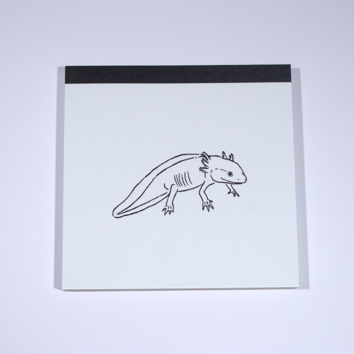 Axolotl Square Memo Pad