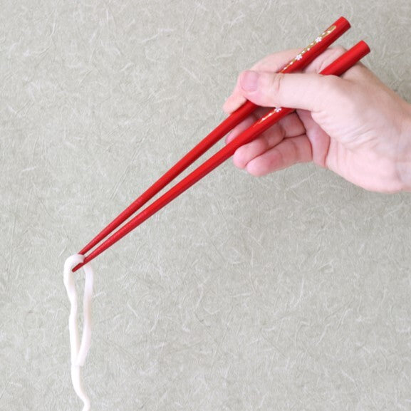 Wakasa Lacquerware Chopsticks — Elegant 5-Color Set | Dishwasher-Safe | Made in Japan