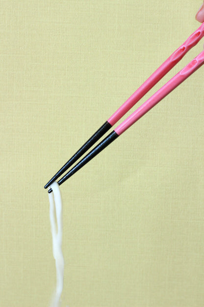Wakasa Lacquerware Chopsticks | Vibrant 5-Color Set — Dishwasher-Safe | Made in Japan