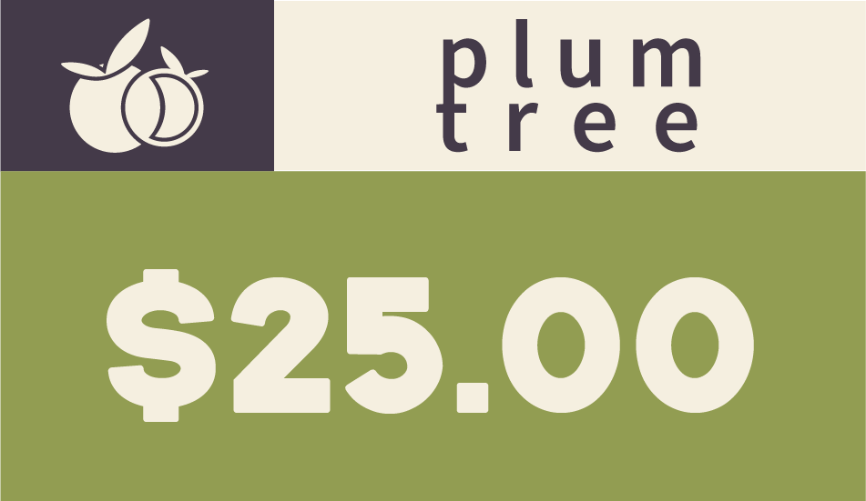 Plumtree Store Gift Card