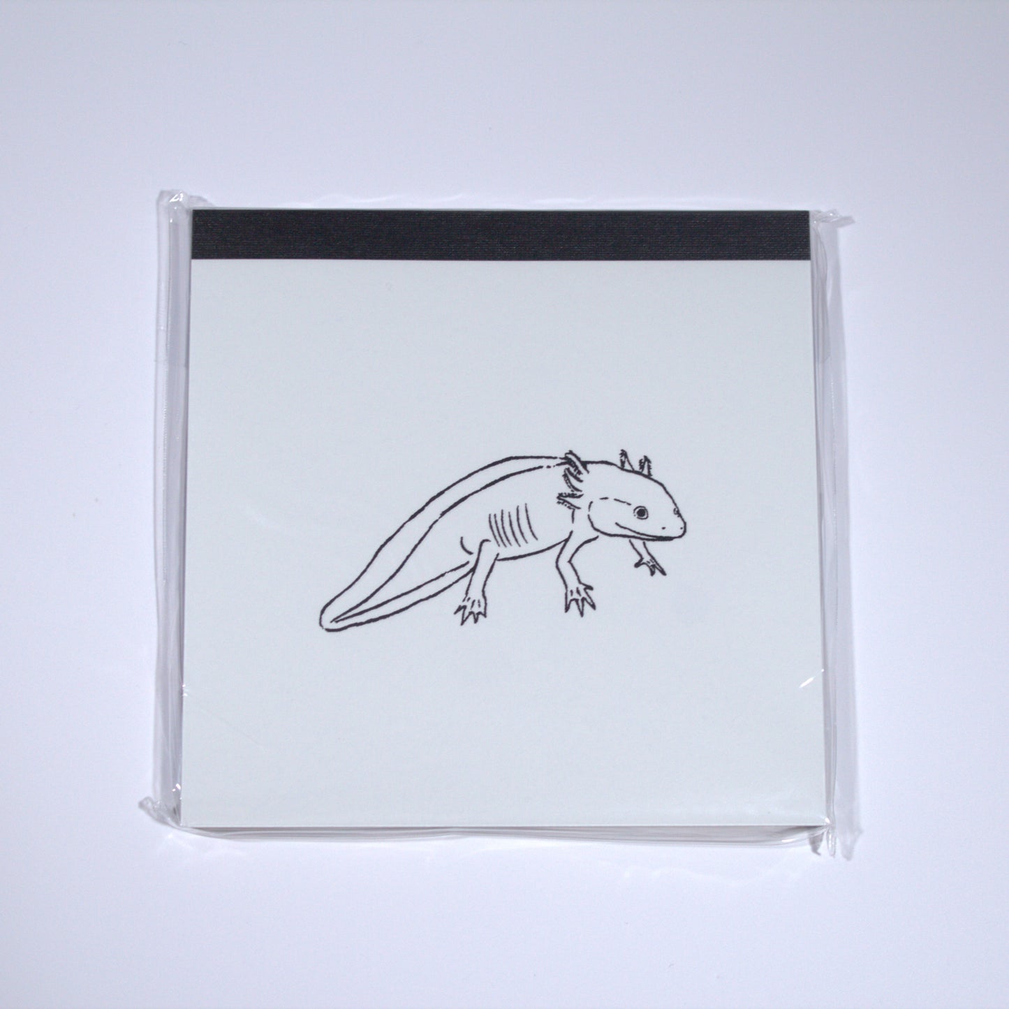 Axolotl Square Memo Pad