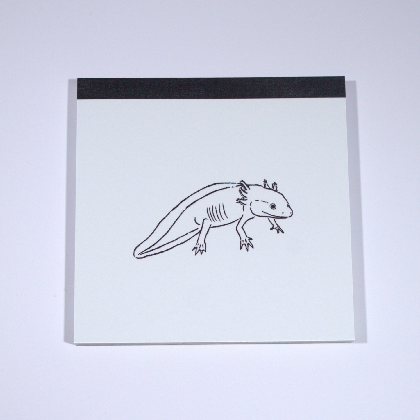 Axolotl Square Memo Pad