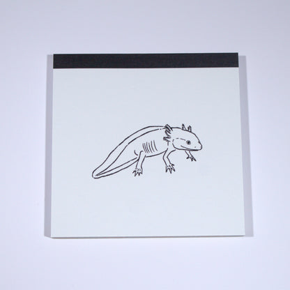Axolotl Square Memo Pad