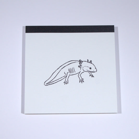 Axolotl Square Memo Pad